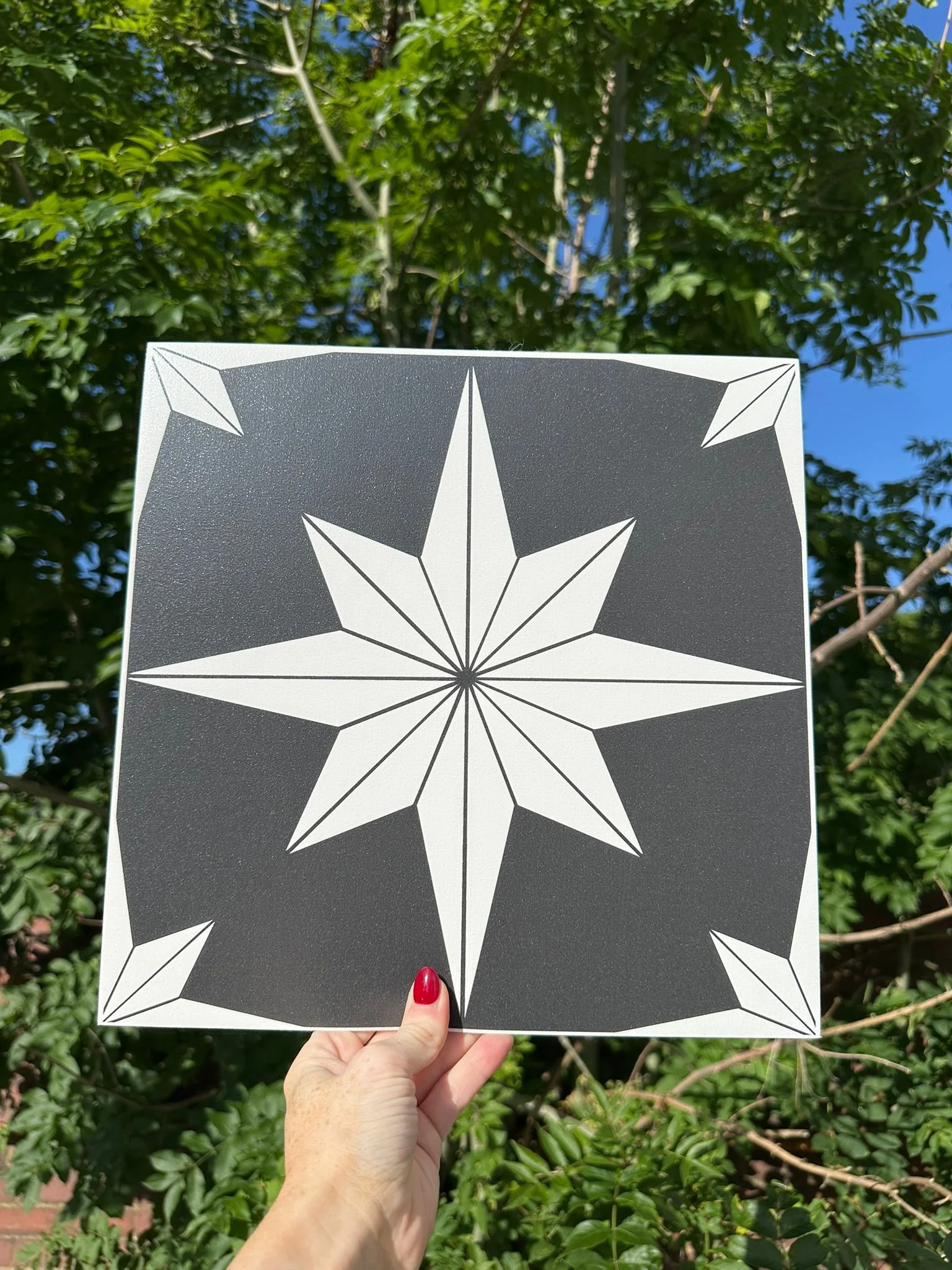 Astral Large White