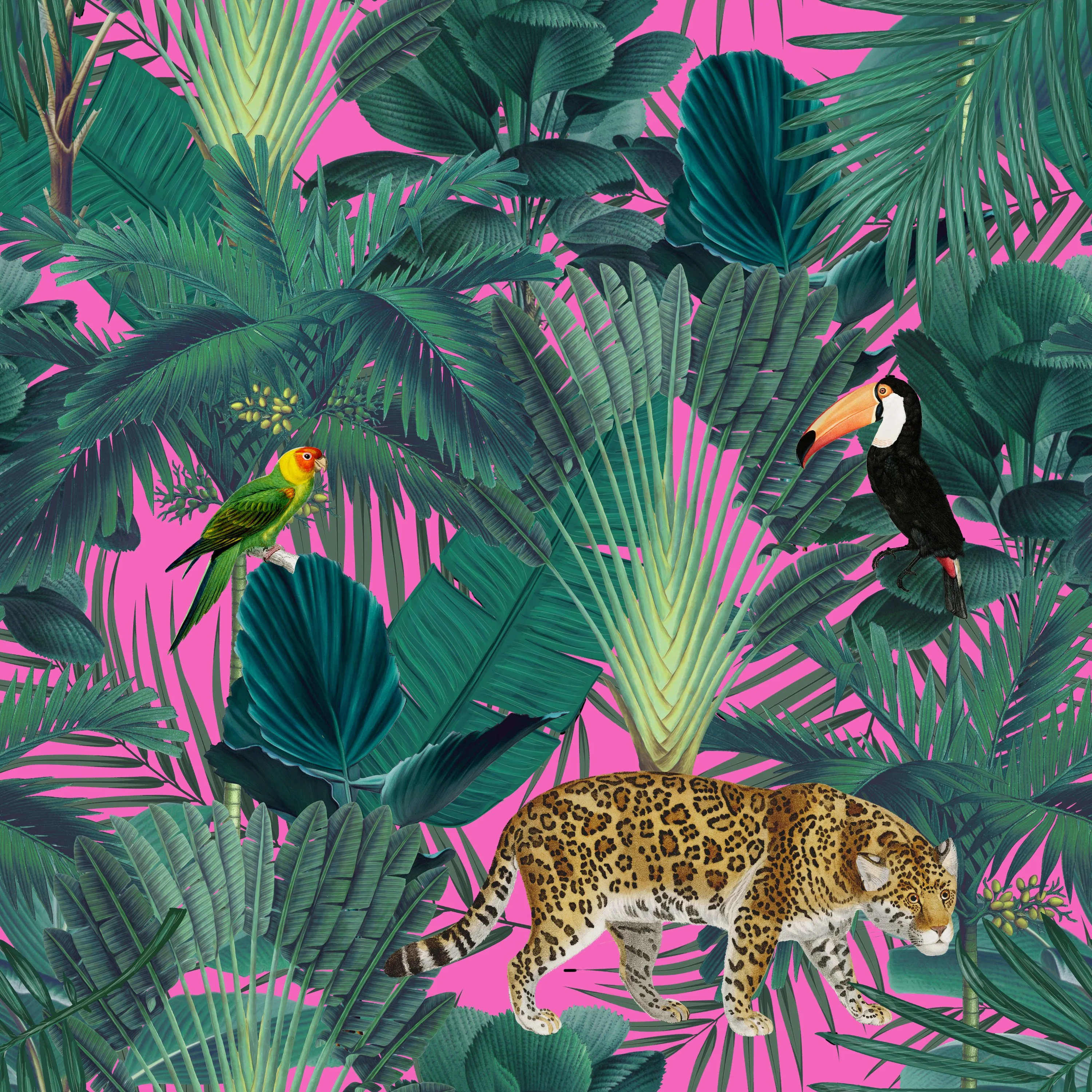 Jungle - Window Vinyl - Image 2