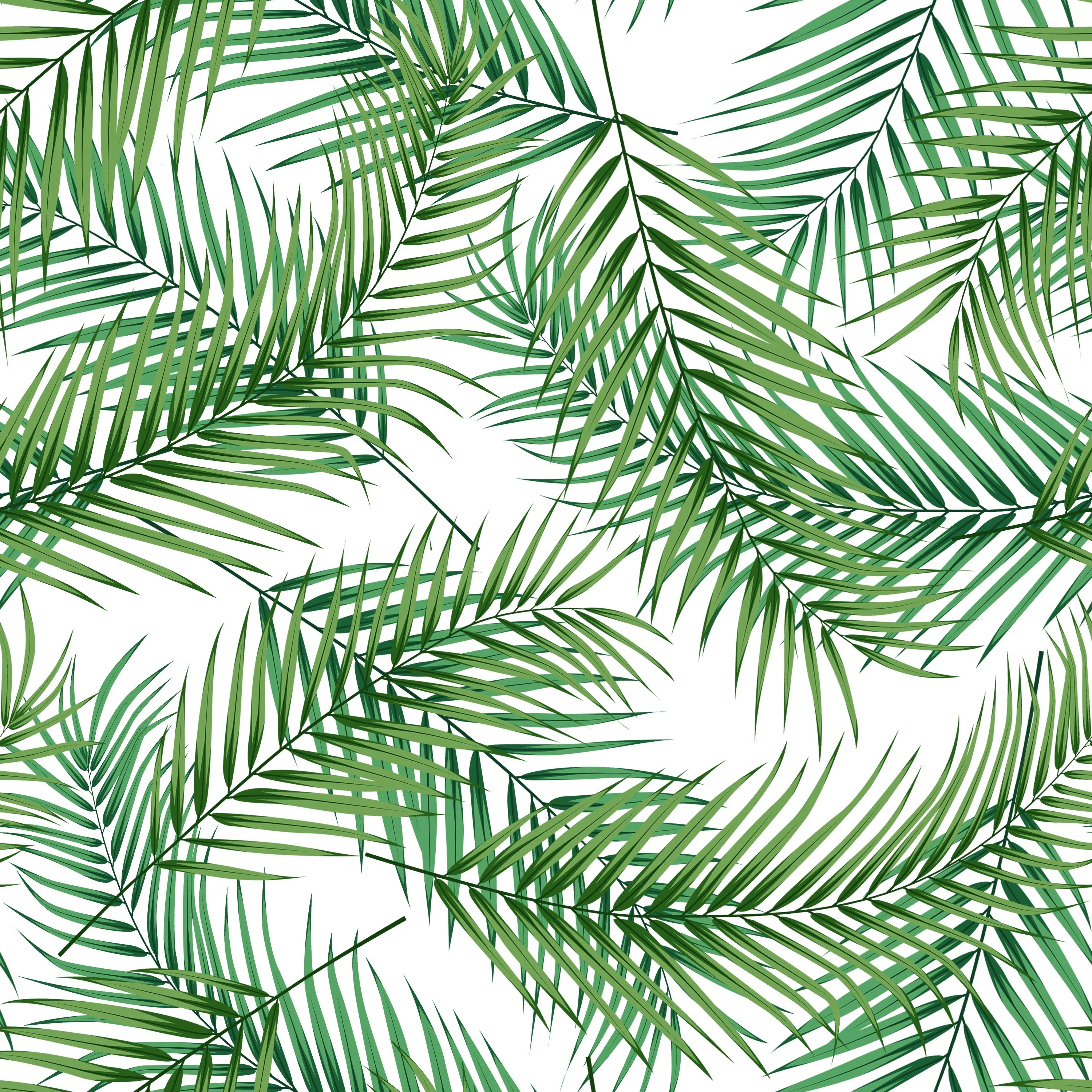 Palm Leaves - Window Vinyl