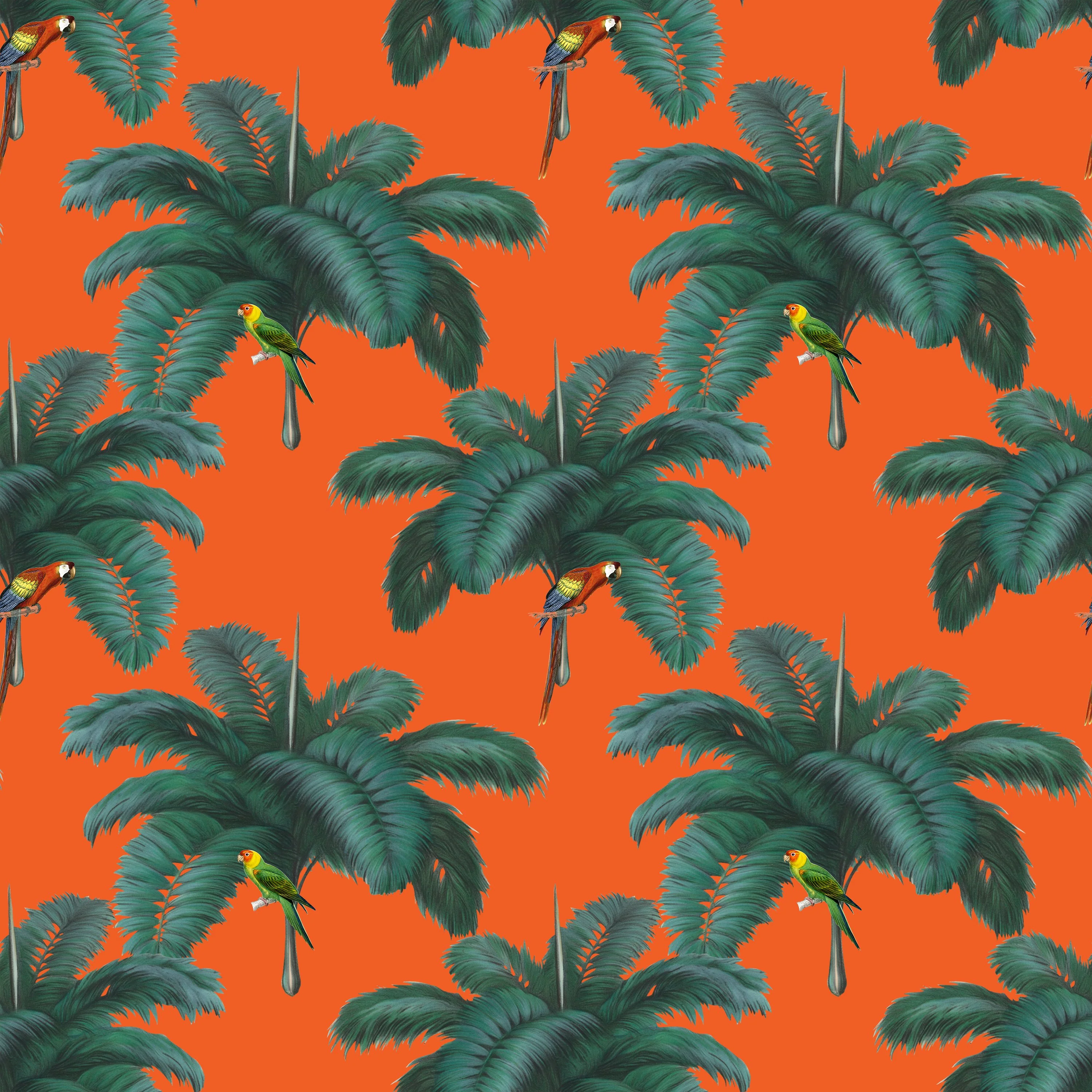 Parrots - Floor & Wall Vinyl
