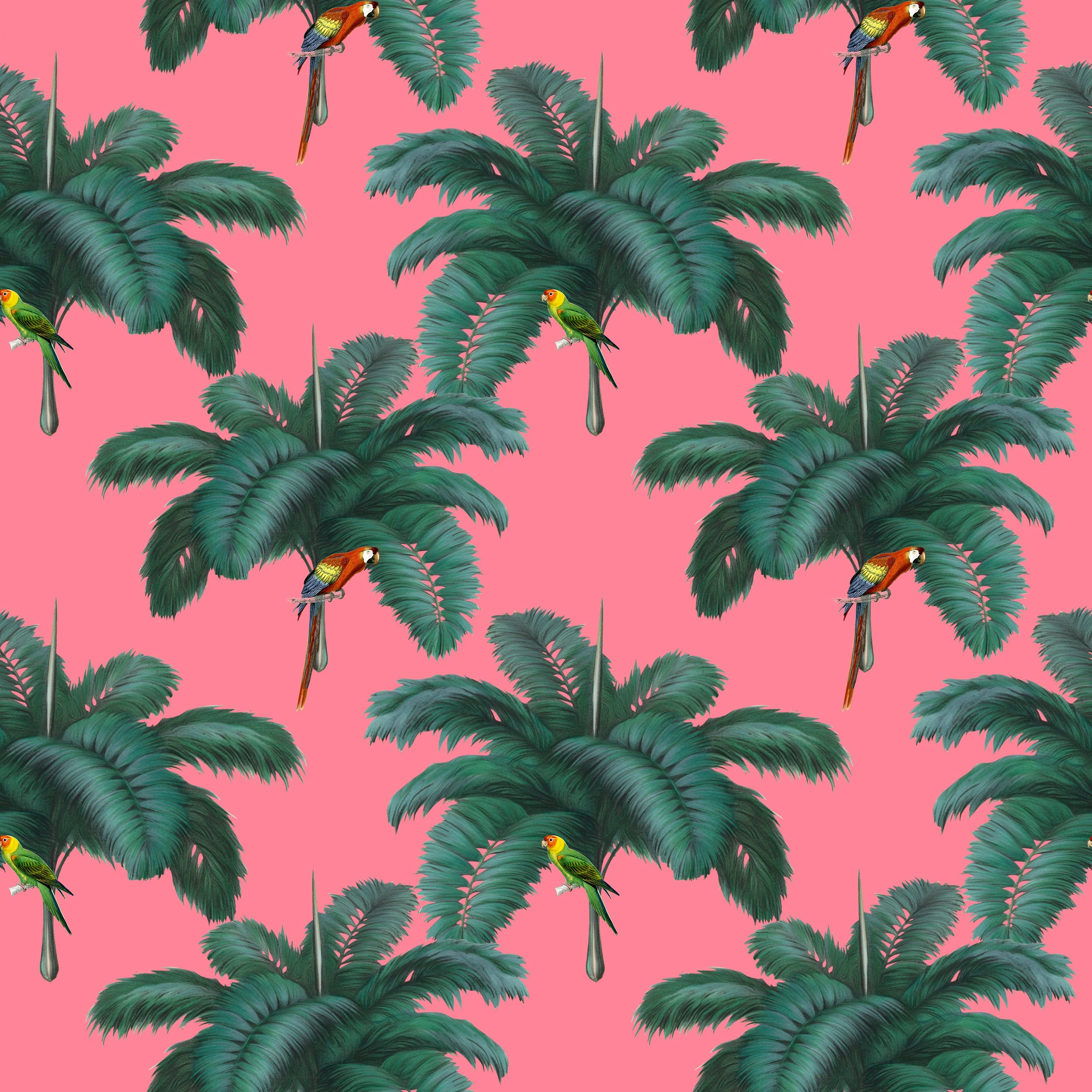 Parrots - Window Vinyl