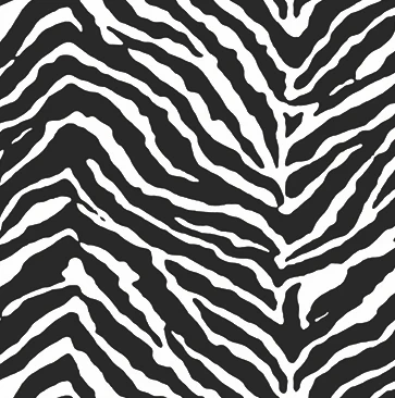Zebra - Window Vinyl